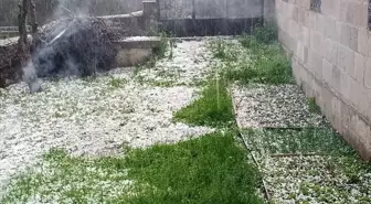 Ardahan'ın Posof ilçesinde dolu ve sağanak etkili oldu