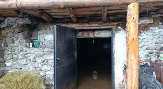 Ardahan Göle'de Şiddetli Sağanak ve Dolu Hasara Yol Açtı