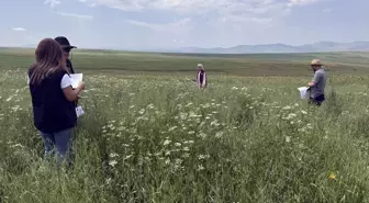 Ardahan'da Tarımsal Destekler İçin Sahada Çalışma Yapıldı