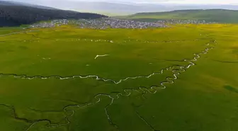 Ardahan'da İlkbahar Güzellikleri: Mendereslerle Renk Cümbüşü