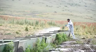 Ardahan Valisi, Şap Hastalığıyla Mücadele Çalışmalarını İnceletti