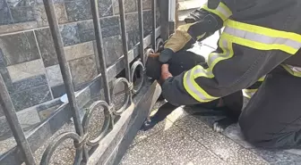 Bahçe Kapısına Sıkışan Köpek İtfaiye Ekipleri Tarafından Kurtarıldı
