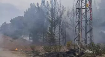 Hatay'da Orman Yangını Kontrol Altına Alındı