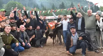 Artvin'de 44. Kafkasör Festivali Boğa Güreşleri ile Sona Erdi