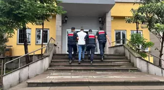 Artvin'de Uyuşturucu Operasyonu: 1 Tutuklama