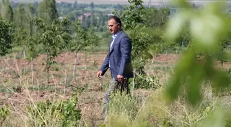 Güneş Enerjisiyle Sürdürülebilir Tarım Modeli: Erzincan'da Örnek Çalışma