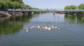 Avanos'taki Sallanan Köprü Turizmle Esnafı Sevindiriyor