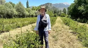 Gurbetçi Çiftçi, Isparta'da Aronya Üretimine Geçti