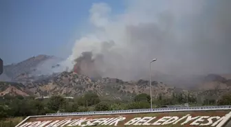 Aydın'ın Efeler İlçesinde Ağaçlık Alanda Yangın Çıktı