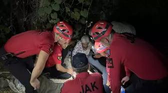 Kaybolan Alzheimer Hastası Kadın, Beslediği Köpek Sayesinde Bulundu