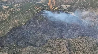 Aydın'da Makilik Alanda Yangın Söndürüldü