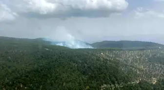 Aydın'da Orman Yangınına Müdahele Devam Ediyor