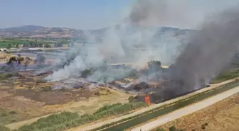 Aydın'da Otluk Alanda Yangın Çıktı