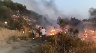 Aydın'da Otoyolda Yangın: Kamyon Alev Alev Yandı