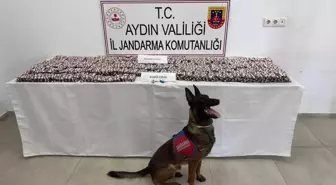 Aydın'da Uyuşturucu Operasyonu: 3 Şüpheli Tutuklandı