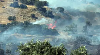 Aydın'da Zeytinlikte Yangın Kontrol Altına Alındı