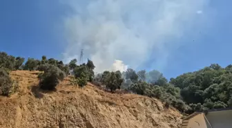 Aydın'da Zeytinlikteki Yangın Kontrol Altına Alındı