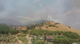 Aydın'da Tarım Alanında Yangın Çıktı