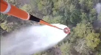Aydın'da Orman Yangını Kontrol Altına Alındı