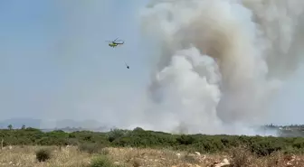 Aydın'da Çıkan Yangınlar Kontrol Altına Alındı
