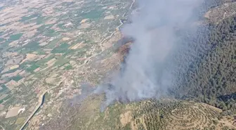 Aydın'da Tarım Alanında Yangın Çıktı