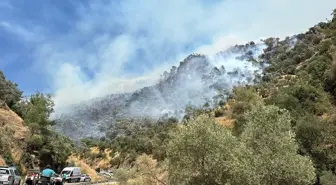 Aydın'da Ziraat Alanında Başlayan Yangın Ormana Sıçradı