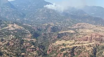 Aydın'da Çam ve Zeytinlik Alanlarda Yangın Çıktı