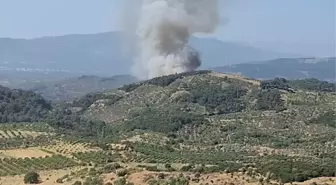 Aydın'da Orman Yangınına Müdahele Başladı