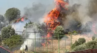 Aydın'da Tarım Alanlarında Yangınlar Çıktı
