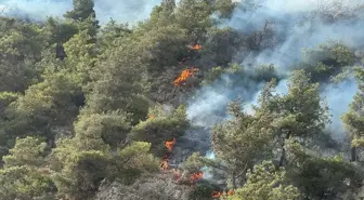 Aydın'da Ormanlık Alanda Yangın Çıktı