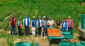 Gönüllü Gençler Domates Hasadında Tarım İşçilerine Destek Verdi