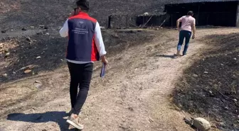 Çanakkale Ayvacık'ta Yangın Sonrası Hasar Tespit Çalışmaları Sürüyor