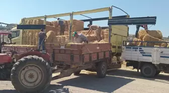 Ayvacık'ta Yangın Mağdurlarına Saman Desteği