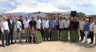 Samsun'da İhracata Uygun Sebze Fidesi Dağıtıldı