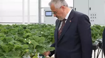 Bafra Sera OSB 1500 kişiye iş imkanı sağlayacak