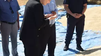 Bahşılı Kaymakamı Fidan Bozkır, Buğday Hasadına Katıldı