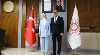 Bakan Göktaş, Bingöl'de Gönül Elçileri ile Koruyucu Aile Farkındalık Toplantısı'nda konuştu Açıklaması