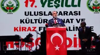 Bakan Işıkhan, Mardin'de 'Yeşilli Uluslararası Kültür Sanat ve Kiraz Festivali'ne katıldı Açıklaması