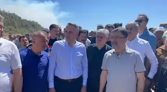 Sakarya ve Bilecik'teki Orman Yangınları: 3 Gözaltı