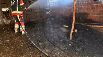 Sındırgı'da Ahırda Yangın Çıktı