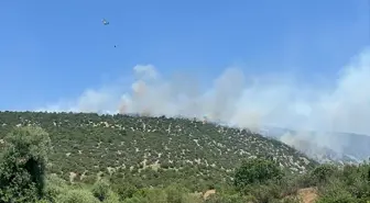 Balıkesir Karesi'de Arazide Yangın: Hava ve Karadan Müdahale Başladı