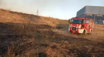 Balıkesir Bandırma'da Arazi Yangını Kontrol Altına Alınmaya Çalışılıyor