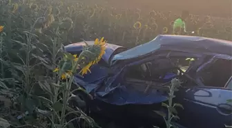 Balıkesir'de Otomobilin Ayçiçeği Tarlasına Devrilmesi Sonucu 3 Yaralı