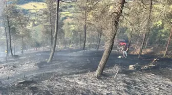 Dursunbey'de Orman Yangını Kontrol Altına Alındı