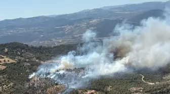 Balıkesir'de Yangın Kontrol Altına Alınıyor