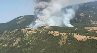 Balıkesir'de Orman Yangını Kontrol Altına Alınmaya Çalışılıyor