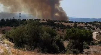 Balıkesir'de Orman Yangınına Müdahale Devam Ediyor