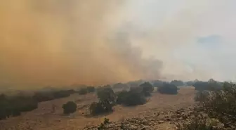 Balıkesir'de Orman Yangınına Hızla Müdahale Ediliyor