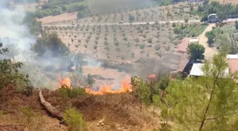 Balıkesir'de Orman Yangını Kontrol Altına Alınmaya Çalışılıyor