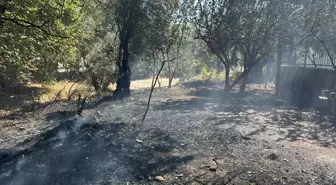 Edremit'te Çıkan Örtü Yangını Kontrol Altına Alındı